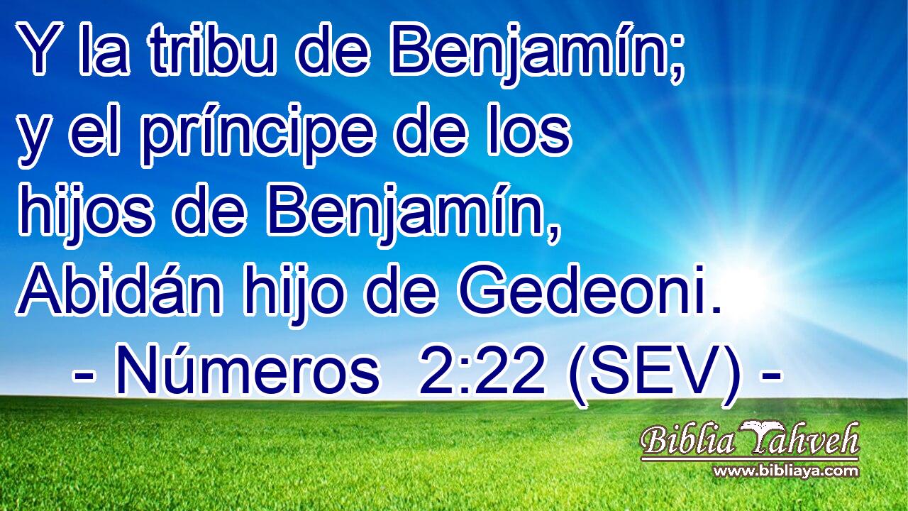 Y la tribu de Benjamín; y el príncipe de los hijos de Benjamín, Abidán hijo de Gedeoni.