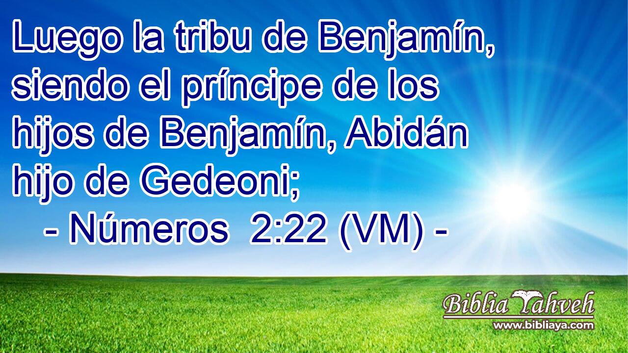  Luego la tribu de Benjamín, siendo el príncipe de los hijos de Benjamín, Abidán hijo de Gedeoni; 
