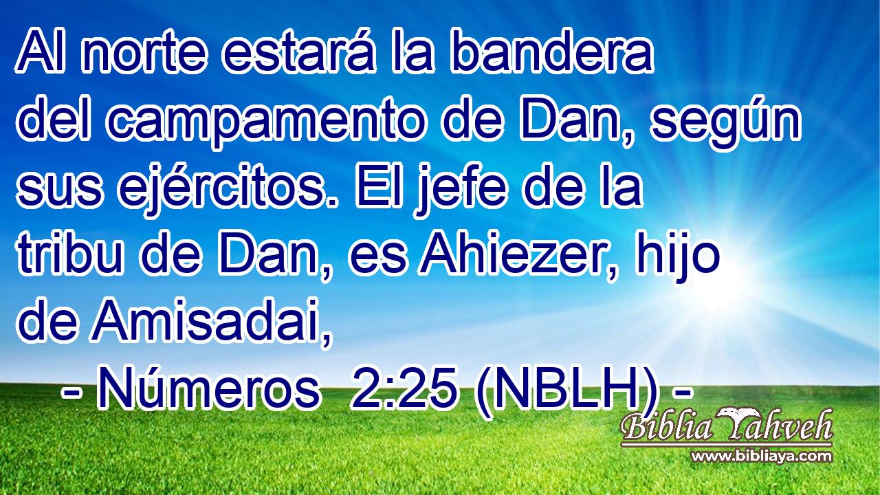  Al norte estará la bandera del campamento de Dan, según sus ejércitos. El jefe de la tribu de Dan, es Ahiezer, hijo de Amisadai, 
