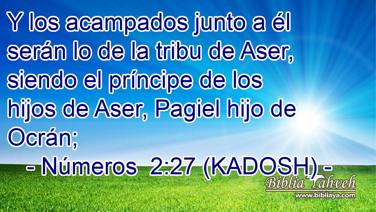  Y los acampados junto a él serán lo de la tribu de Aser, siendo el príncipe de los hijos de Aser, Pagiel hijo de Ocrán; 