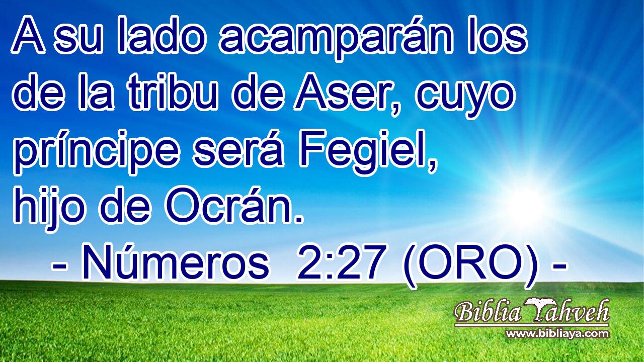  A su lado acamparán los de la tribu de Aser, cuyo príncipe será Fegiel, hijo de Ocrán. 