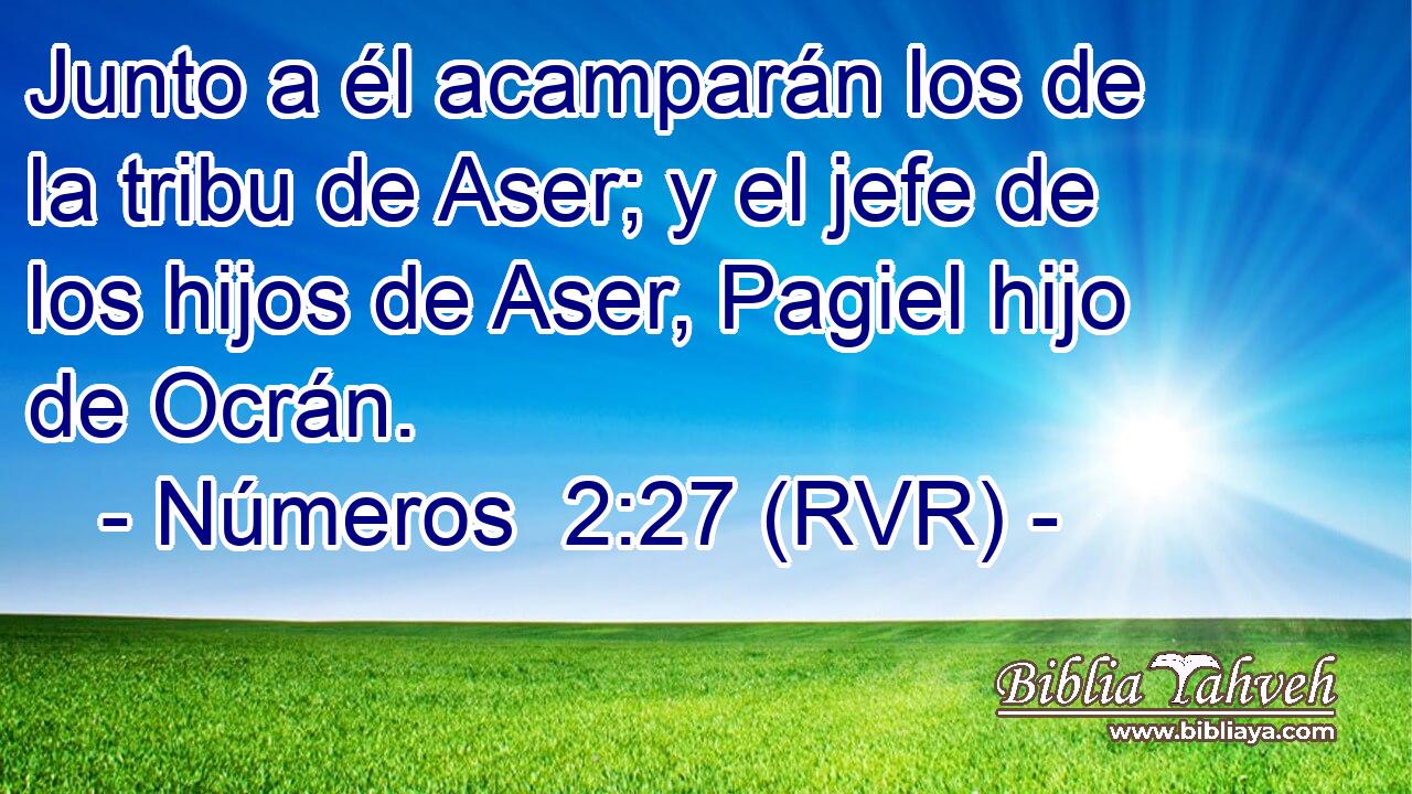 Junto a él acamparán los de la tribu de Aser; y el jefe de los hijos de Aser, Pagiel hijo de Ocrán.
