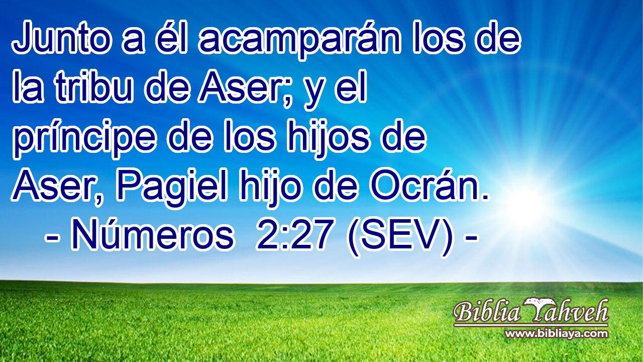 Junto a él acamparán los de la tribu de Aser; y el príncipe de los hijos de Aser, Pagiel hijo de Ocrán.