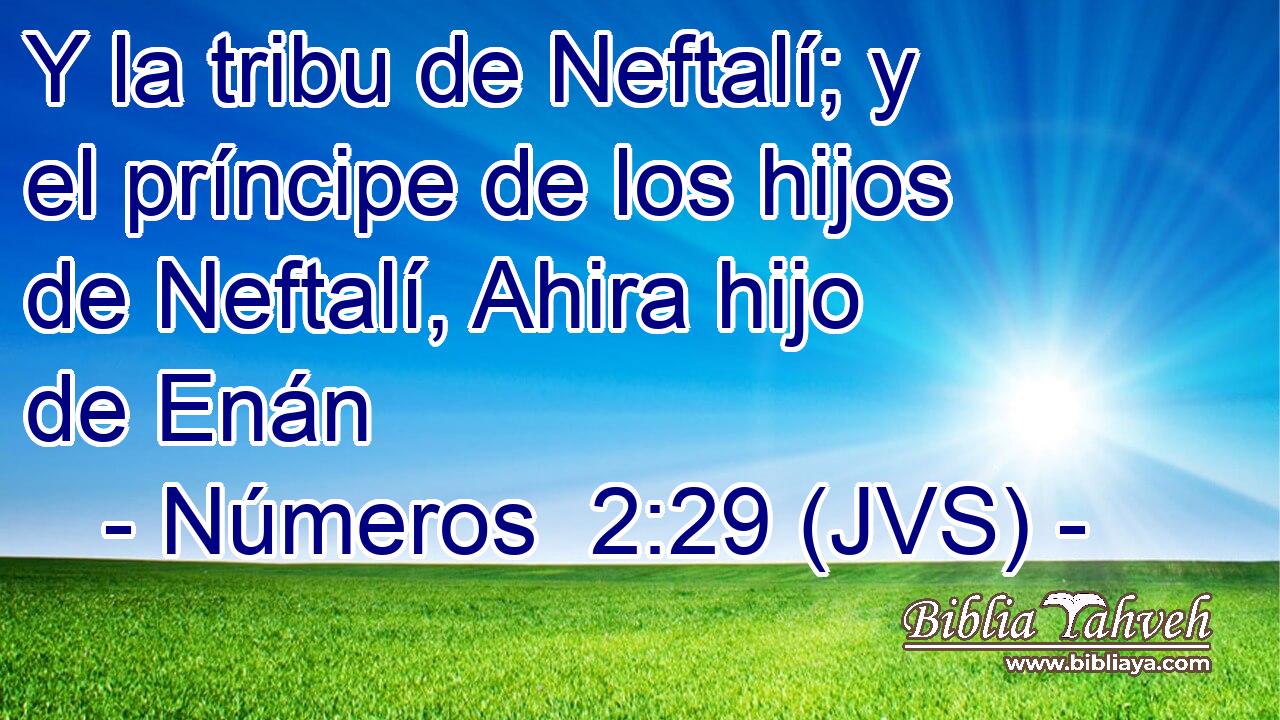 Y la tribu de Neftalí; y el príncipe de los hijos de Neftalí, Ahira hijo de Enán