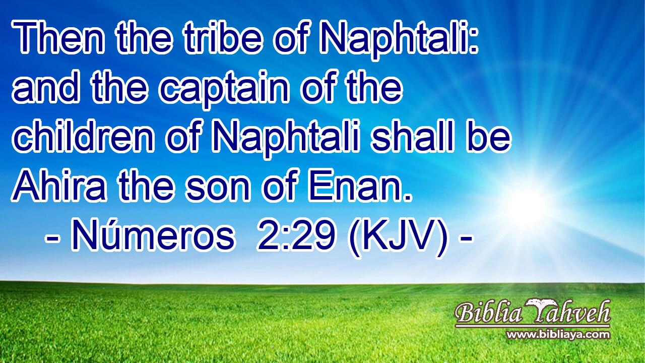 Then the tribe of Naphtali: and the captain of the children of Naphtali shall be Ahira the son of Enan.