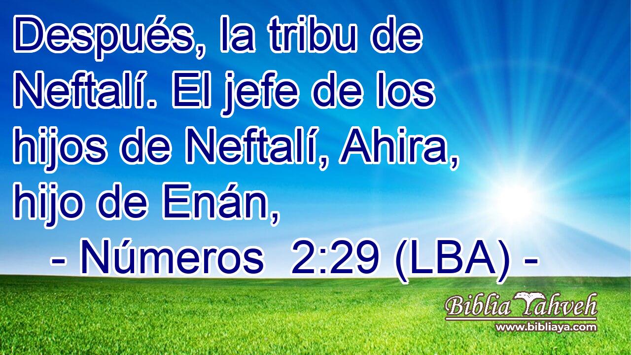 Después, la tribu de Neftalí. El jefe de los hijos de Neftalí, Ahira, hijo de Enán,