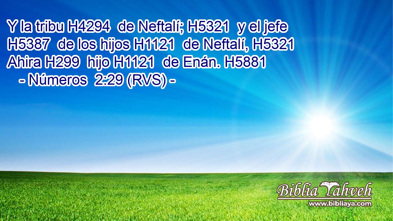 Y la tribu H4294  de Neftalí; H5321  y el jefe H5387  de los hijos H1121  de Neftalí, H5321  Ahira H299  hijo H1121  de Enán. H5881  