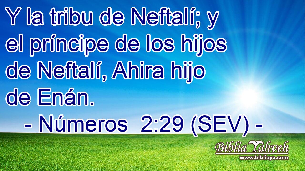 Y la tribu de Neftalí; y el príncipe de los hijos de Neftalí, Ahira hijo de Enán.