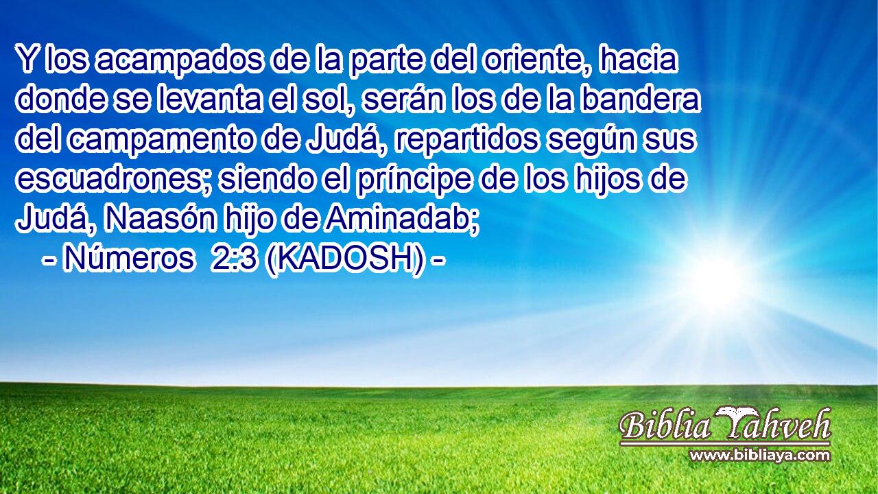  Y los acampados de la parte del oriente, hacia donde se levanta el sol, serán los de la bandera del campamento de Judá, repartidos según sus escuadrones; siendo el príncipe de los hijos de Judá, Naasón hijo de Aminadab;