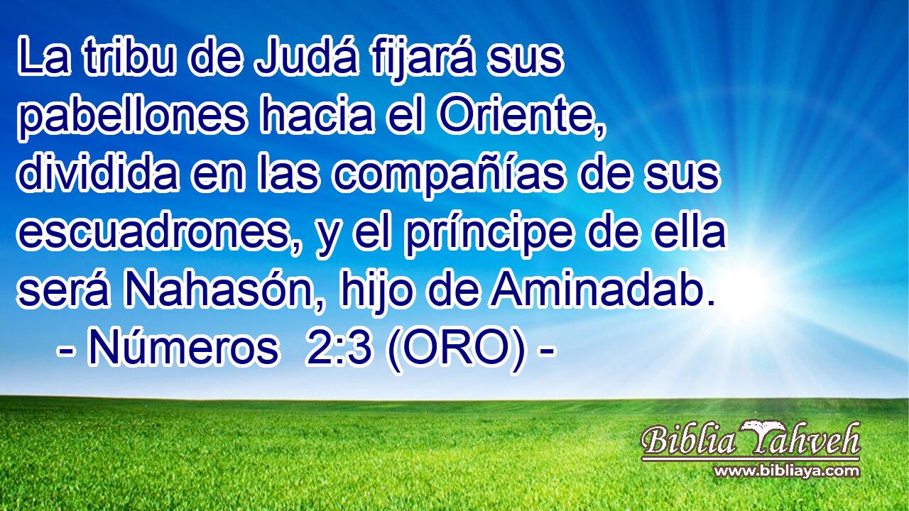  La tribu de Judá fijará sus pabellones hacia el Oriente, dividida en las compañías de sus escuadrones, y el príncipe de ella será Nahasón, hijo de Aminadab. 