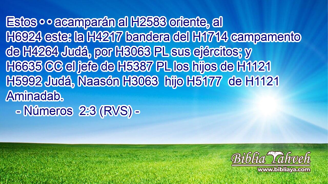 Estos • • acamparán al H2583 oriente, al H6924 este: la H4217 bandera del H1714 campamento de H4264 Judá, por H3063 PL sus ejércitos; y H6635 CC el jefe de H5387 PL los hijos de H1121 H5992 Judá, Naasón H3063  hijo H5177  de H1121 Aminadab. 
