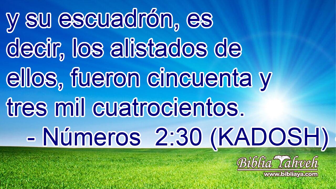  y su escuadrón, es decir, los alistados de ellos, fueron cincuenta y tres mil cuatrocientos. 