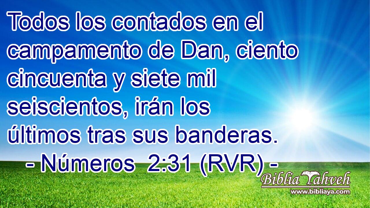 Todos los contados en el campamento de Dan, ciento cincuenta y siete mil seiscientos, irán los últimos tras sus banderas.