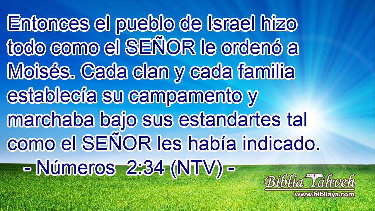 Entonces el pueblo de Israel hizo todo como el SEÑOR le ordenó a Moisés. Cada clan y cada familia establecía su campamento y marchaba bajo sus estandartes tal como el SEÑOR les había indicado.