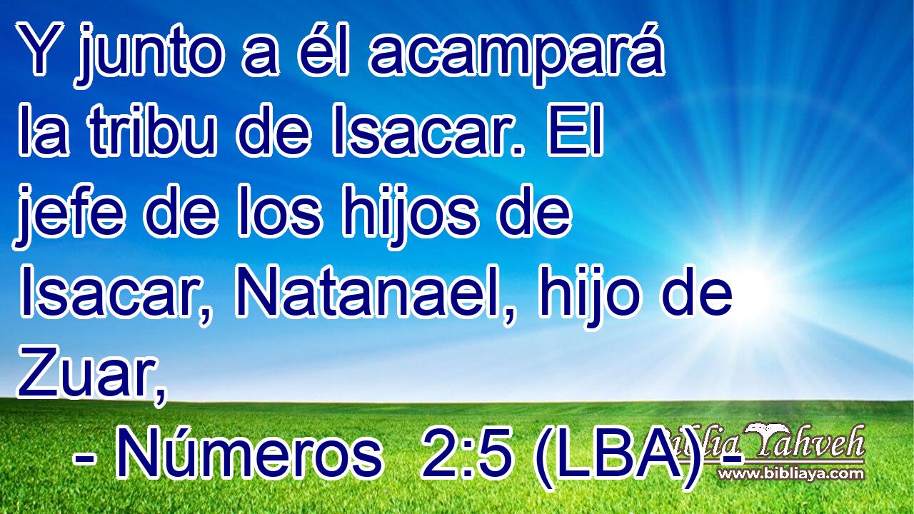 Y junto a él acampará la tribu de Isacar. El jefe de los hijos de Isacar, Natanael, hijo de Zuar,