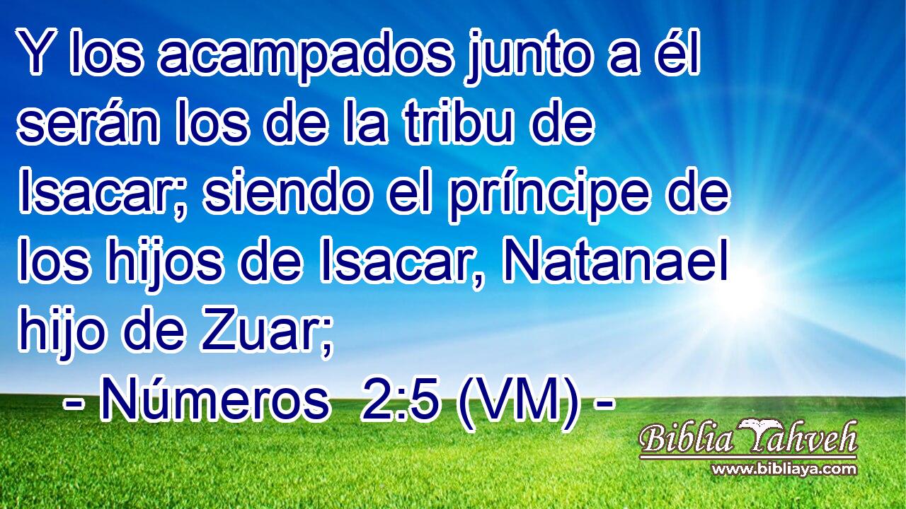  Y los acampados junto a él serán los de la tribu de Isacar; siendo el príncipe de los hijos de Isacar, Natanael hijo de Zuar; 