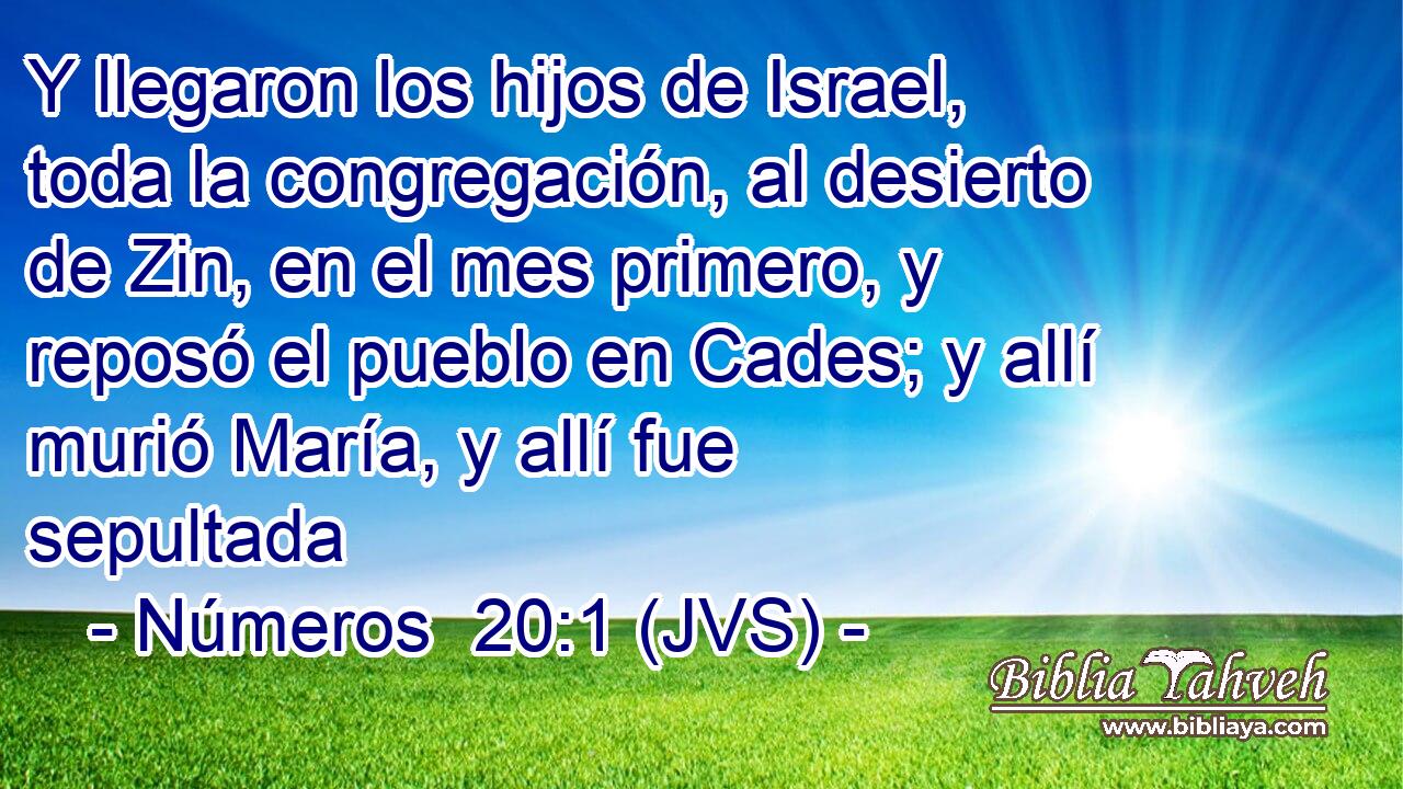 Y llegaron los hijos de Israel, toda la congregación, al desierto de Zin, en el mes primero, y reposó el pueblo en Cades; y allí murió María, y allí fue sepultada