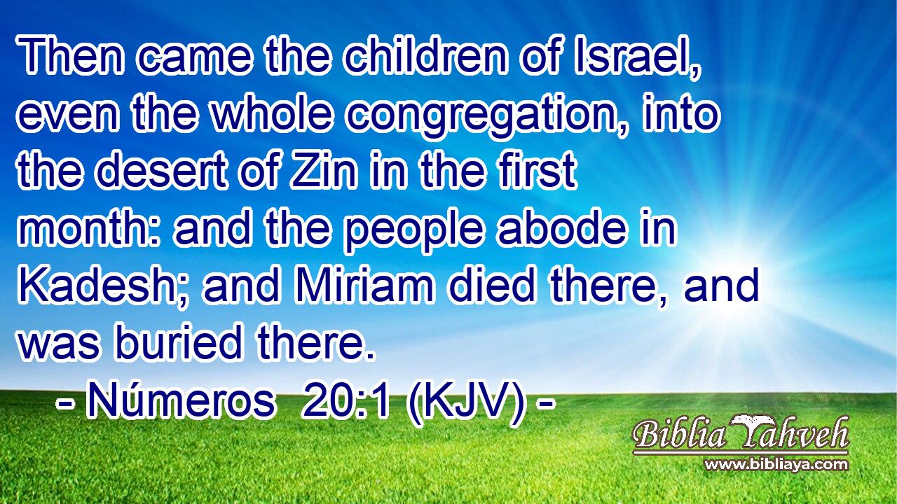 Then came the children of Israel, even the whole congregation, into the desert of Zin in the first month: and the people abode in Kadesh; and Miriam died there, and was buried there.