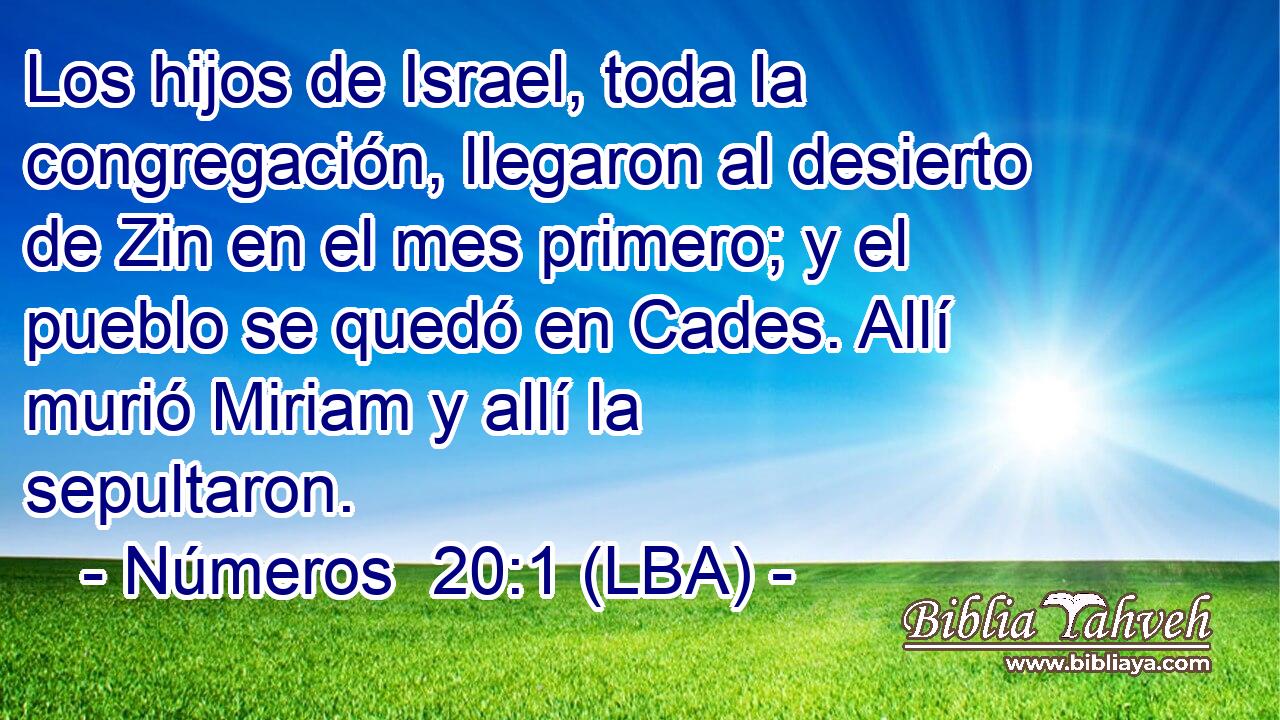 Los hijos de Israel, toda la congregación, llegaron al desierto de Zin en el mes primero; y el pueblo se quedó en Cades. Allí murió Miriam y allí la sepultaron.