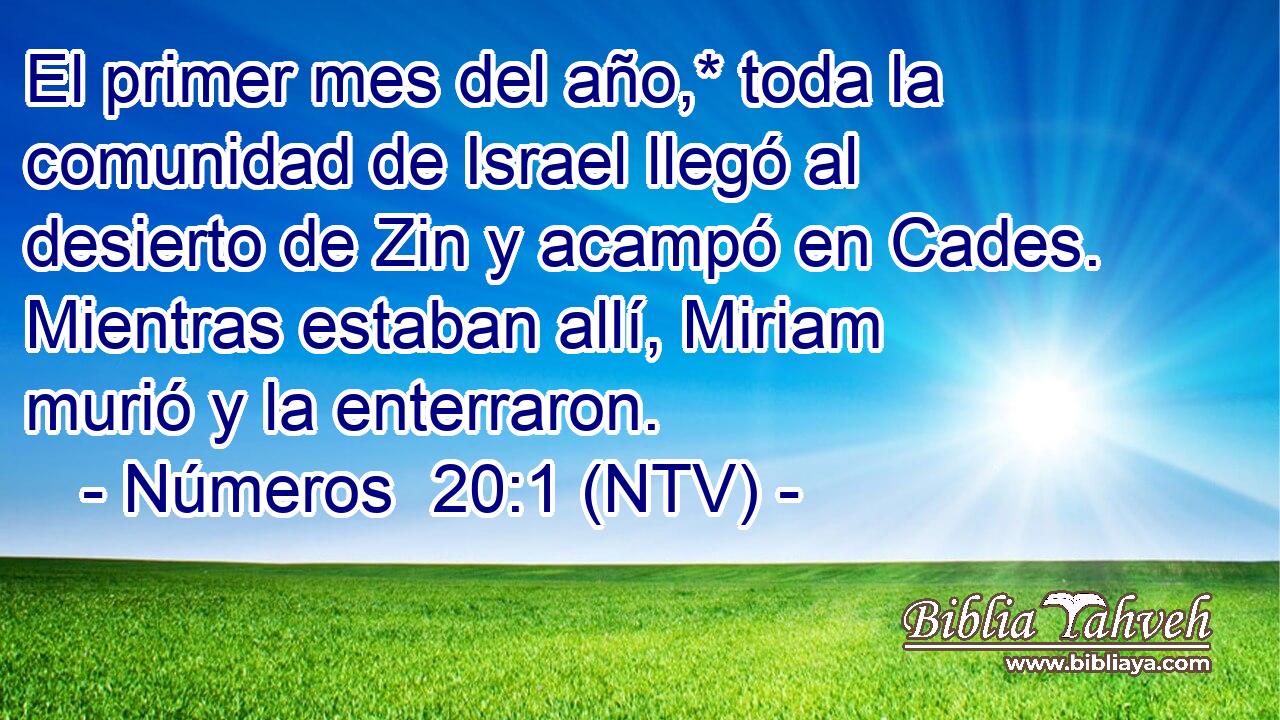 El primer mes del año,* toda la comunidad de Israel llegó al desierto de Zin y acampó en Cades. Mientras estaban allí, Miriam murió y la enterraron.
