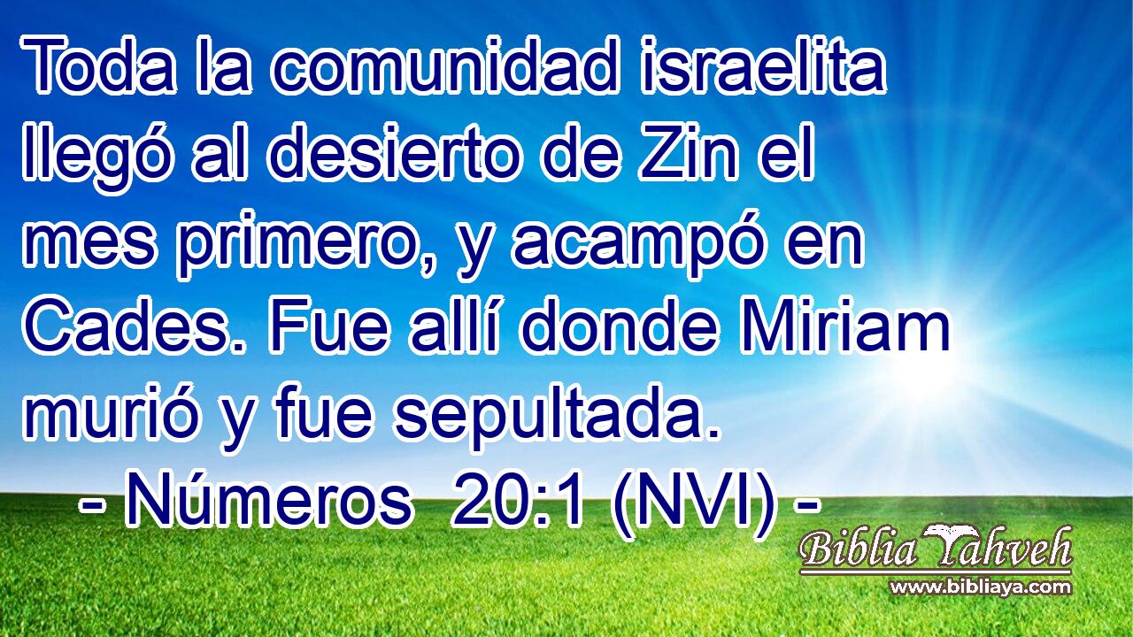  Toda la comunidad israelita llegó al desierto de Zin el mes primero, y acampó en Cades. Fue allí donde Miriam murió y fue sepultada. 