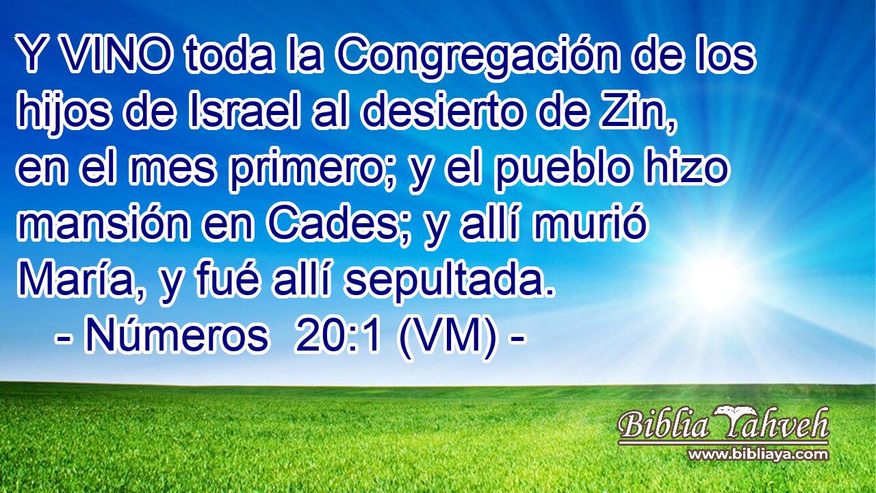  Y VINO toda la Congregación de los hijos de Israel al desierto de Zin, en el mes primero; y el pueblo hizo mansión en Cades; y allí murió María, y fué allí sepultada. 