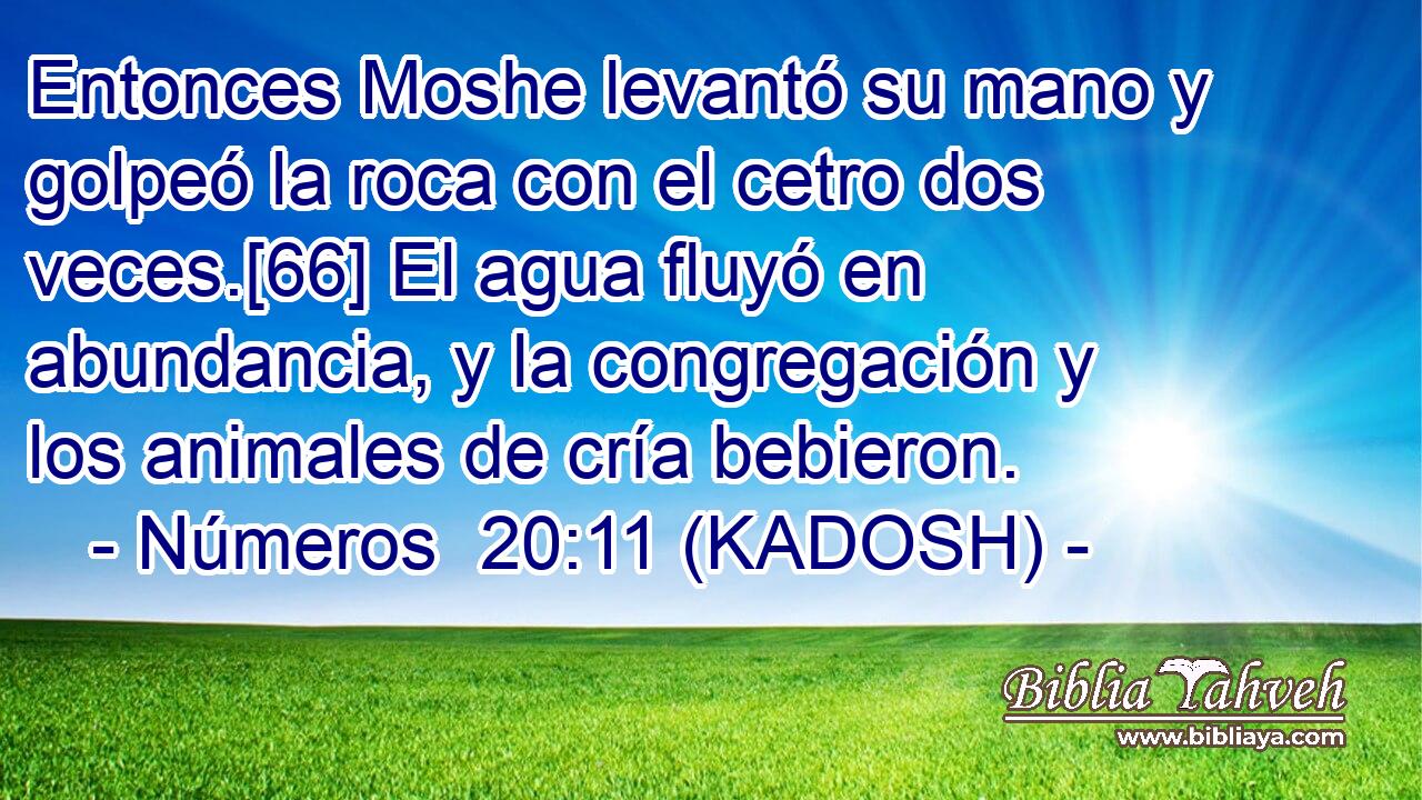  Entonces Moshe levantó su mano y golpeó la roca con el cetro dos veces.[66] El agua fluyó en abundancia, y la congregación y los animales de cría bebieron. 