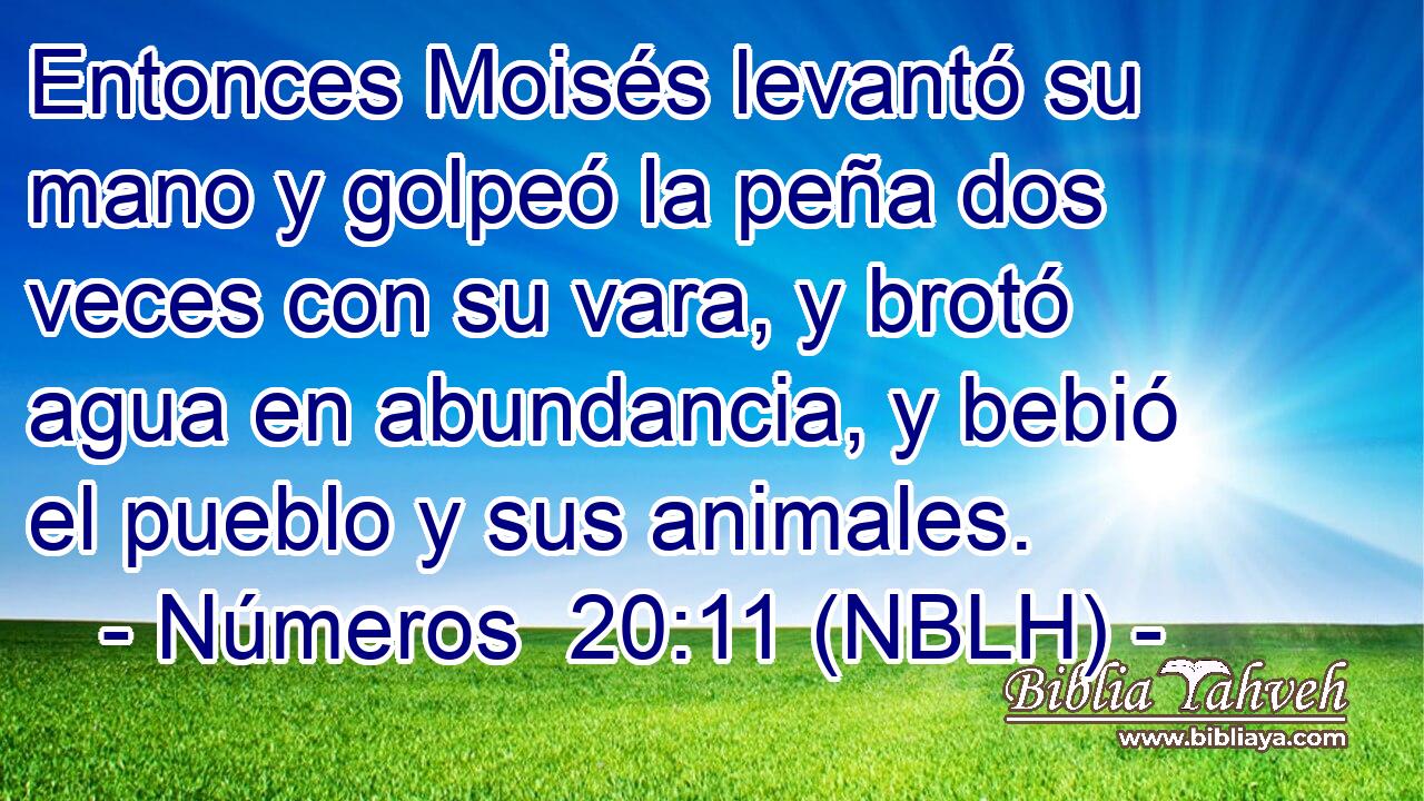  Entonces Moisés levantó su mano y golpeó la peña dos veces con su vara, y brotó agua en abundancia, y bebió el pueblo y sus animales. 