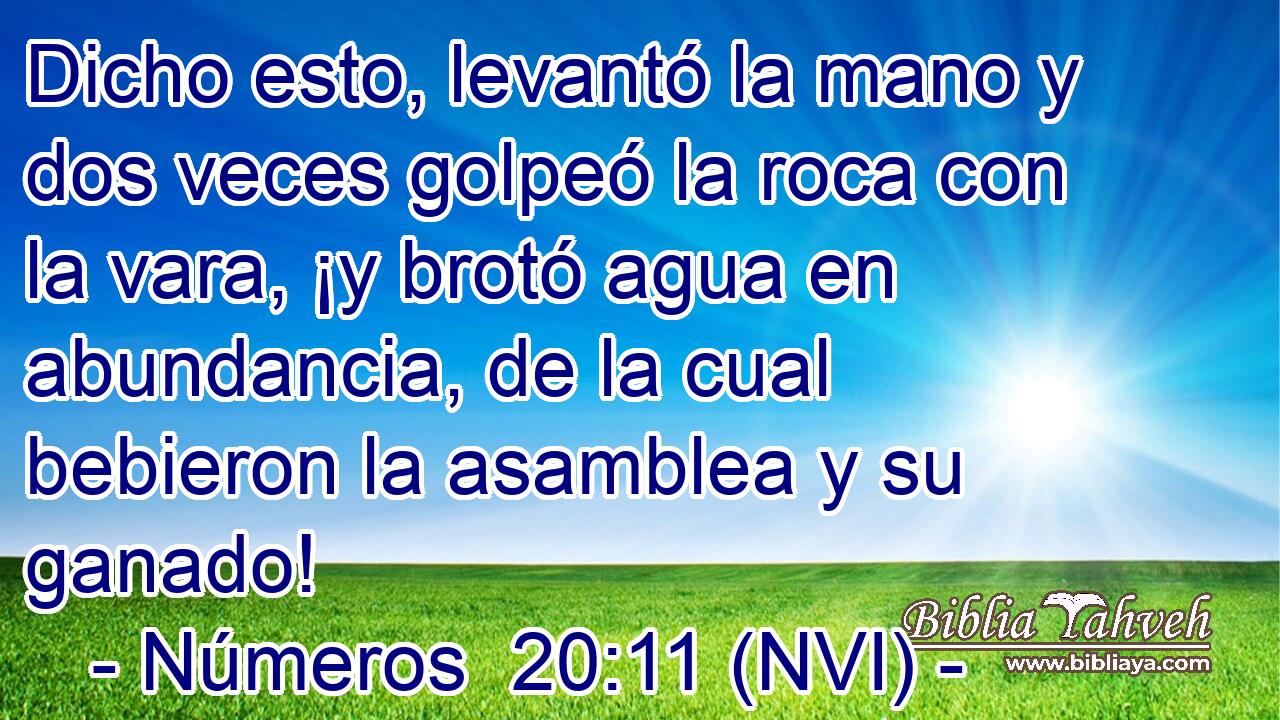  Dicho esto, levantó la mano y dos veces golpeó la roca con la vara, ¡y brotó agua en abundancia, de la cual bebieron la asamblea y su ganado! 
