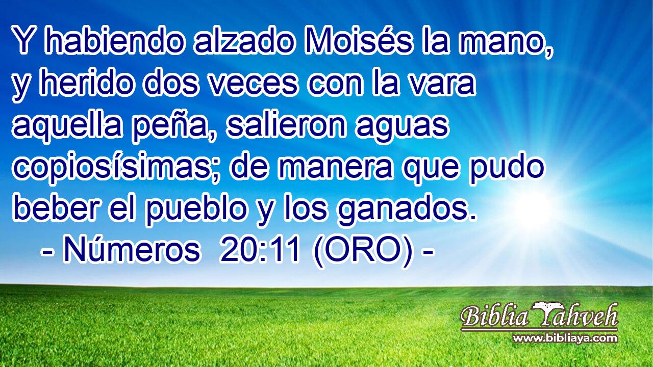  Y habiendo alzado Moisés la mano, y herido dos veces con la vara aquella peña, salieron aguas copiosísimas; de manera que pudo beber el pueblo y los ganados. 