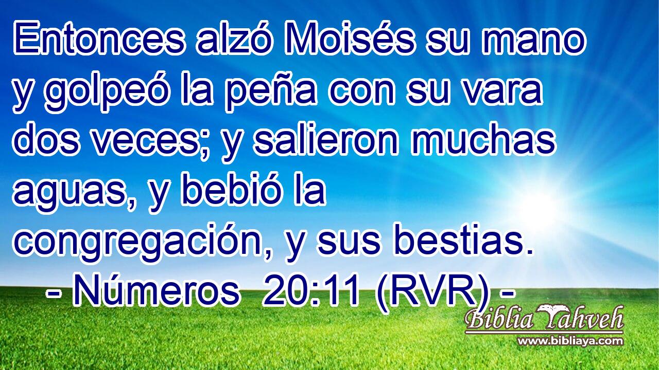 Entonces alzó Moisés su mano y golpeó la peña con su vara dos veces; y salieron muchas aguas, y bebió la congregación, y sus bestias.