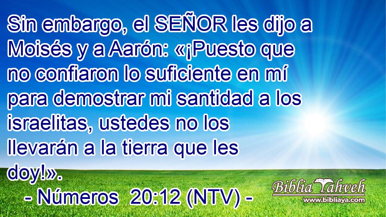 Sin embargo, el SEÑOR les dijo a Moisés y a Aarón: «¡Puesto que no confiaron lo suficiente en mí para demostrar mi santidad a los israelitas, ustedes no los llevarán a la tierra que les doy!».