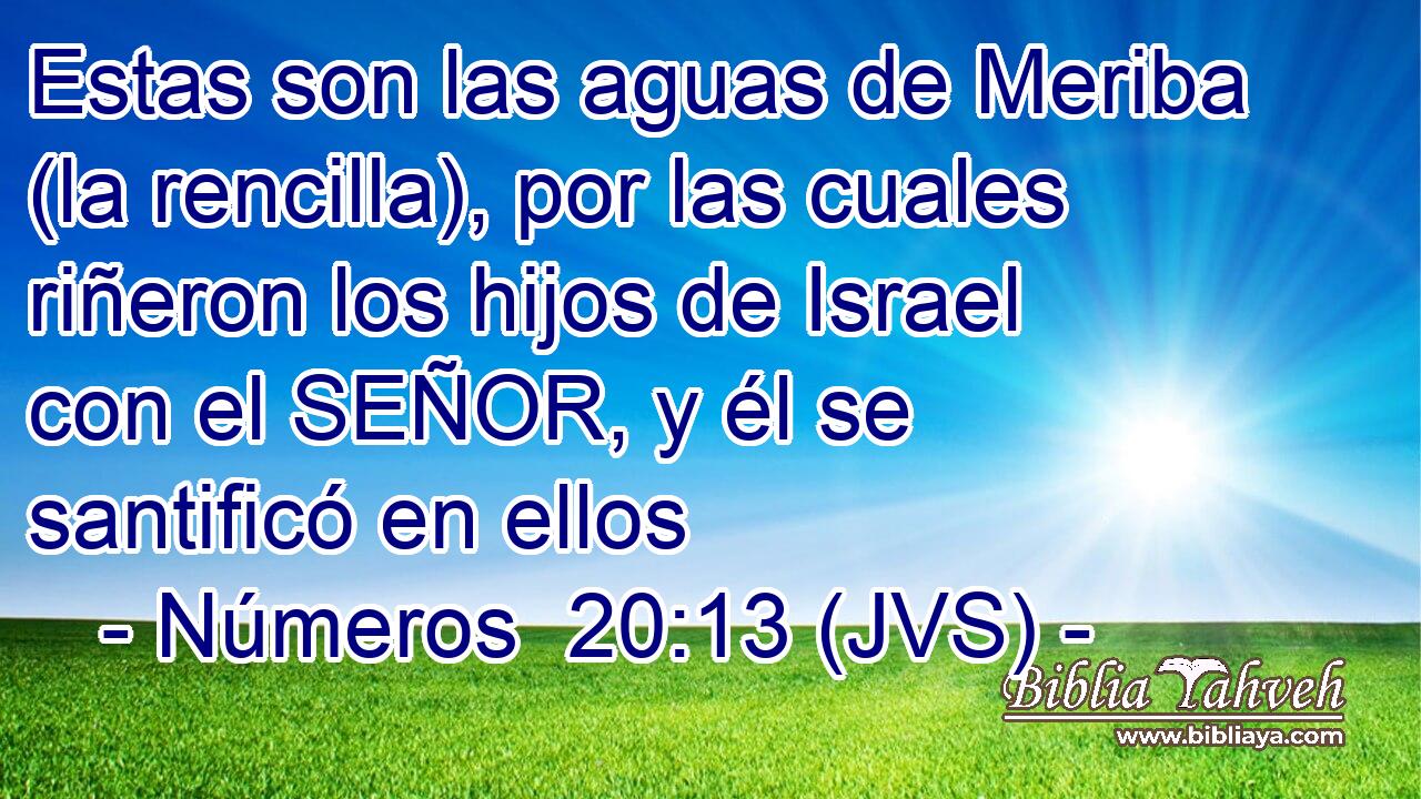 Estas son las aguas de Meriba (la rencilla), por las cuales riñeron los hijos de Israel con el SEÑOR, y él se santificó en ellos