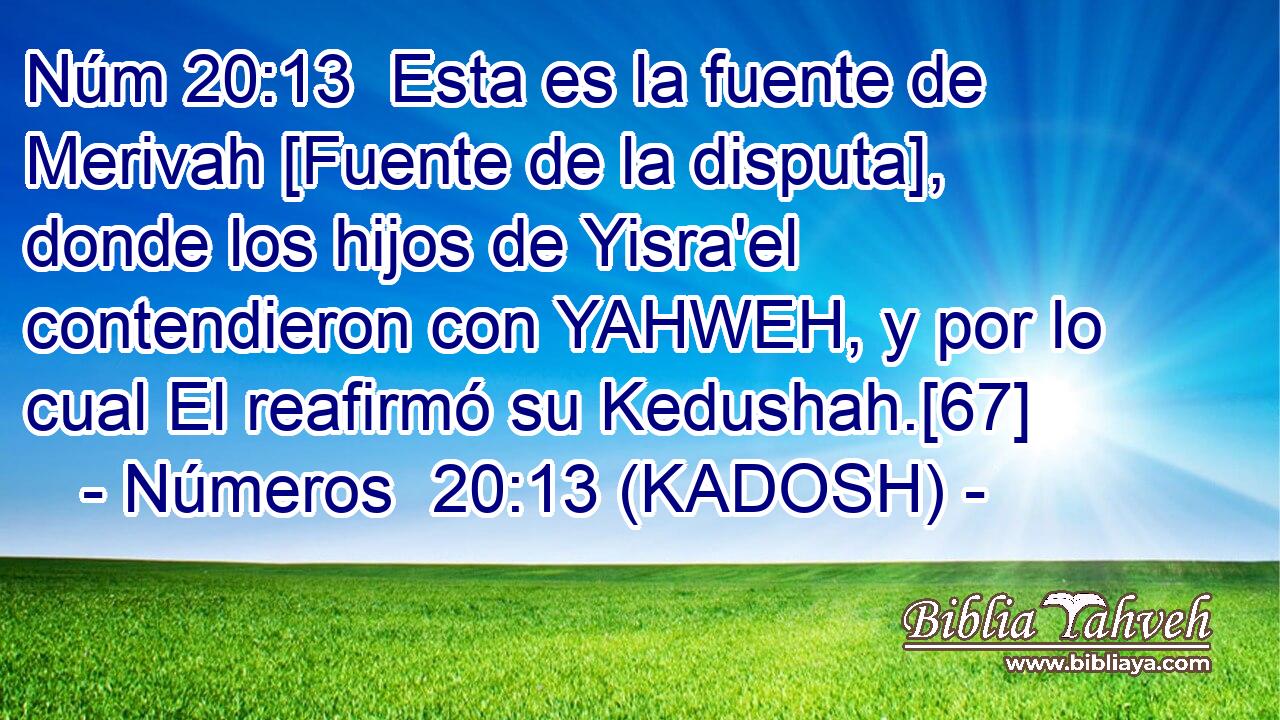  Esta es la fuente de Merivah [Fuente de la disputa], donde los hijos de Yisra'el contendieron con YAHWEH, y por lo cual El reafirmó su Kedushah.[67] 