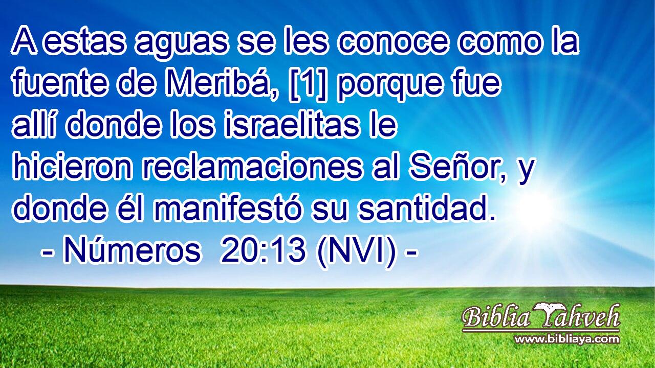  A estas aguas se les conoce como la fuente de Meribá, [1] porque fue allí donde los israelitas le hicieron reclamaciones al Señor, y donde él manifestó su santidad. 