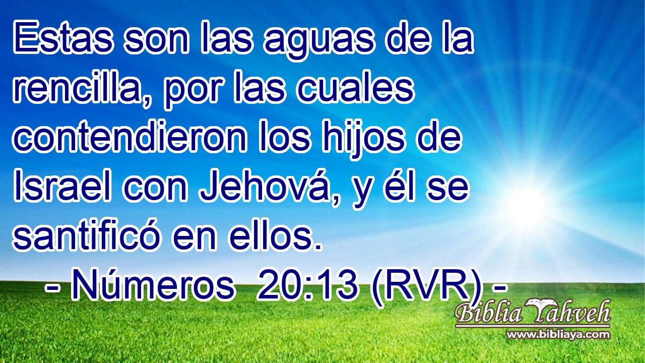 Estas son las aguas de la rencilla, por las cuales contendieron los hijos de Israel con Jehová, y él se santificó en ellos.