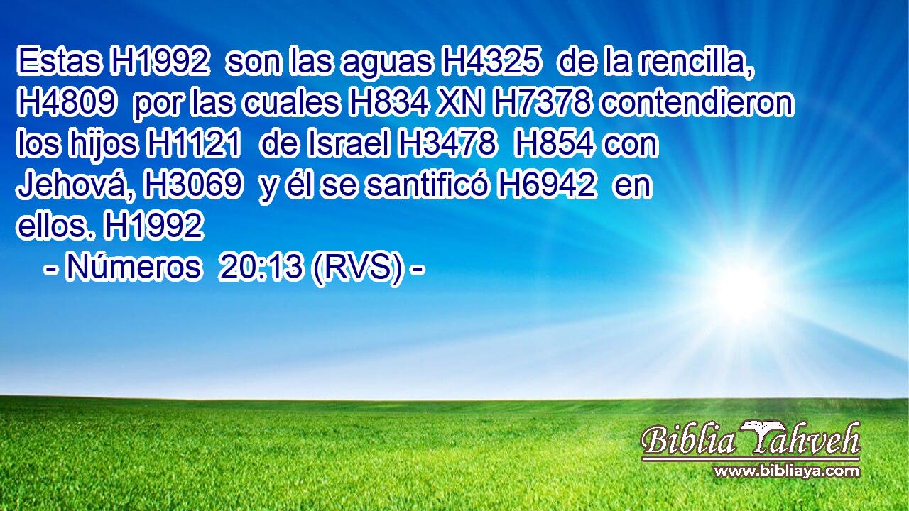 Estas H1992  son las aguas H4325  de la rencilla, H4809  por las cuales H834 XN H7378 contendieron los hijos H1121  de Israel H3478  H854 con Jehová, H3069  y él se santificó H6942  en ellos. H1992  