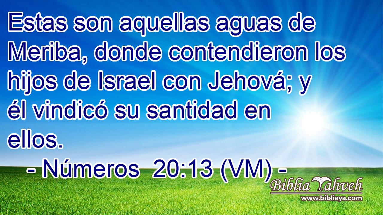  Estas son aquellas aguas de Meriba, donde contendieron los hijos de Israel con Jehová; y él vindicó su santidad en ellos. 
