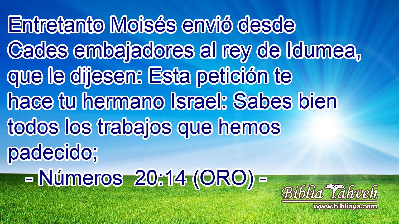 Entretanto Moisés envió desde Cades embajadores al rey de Idumea, que le dijesen: Esta petición te hace tu hermano Israel: Sabes bien todos los trabajos que hemos padecido; 