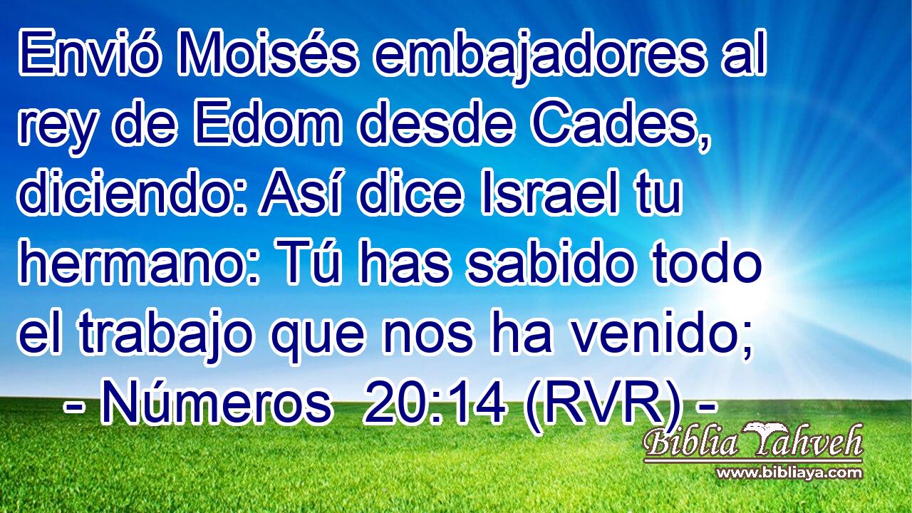 Envió Moisés embajadores al rey de Edom desde Cades, diciendo: Así dice Israel tu hermano: Tú has sabido todo el trabajo que nos ha venido;