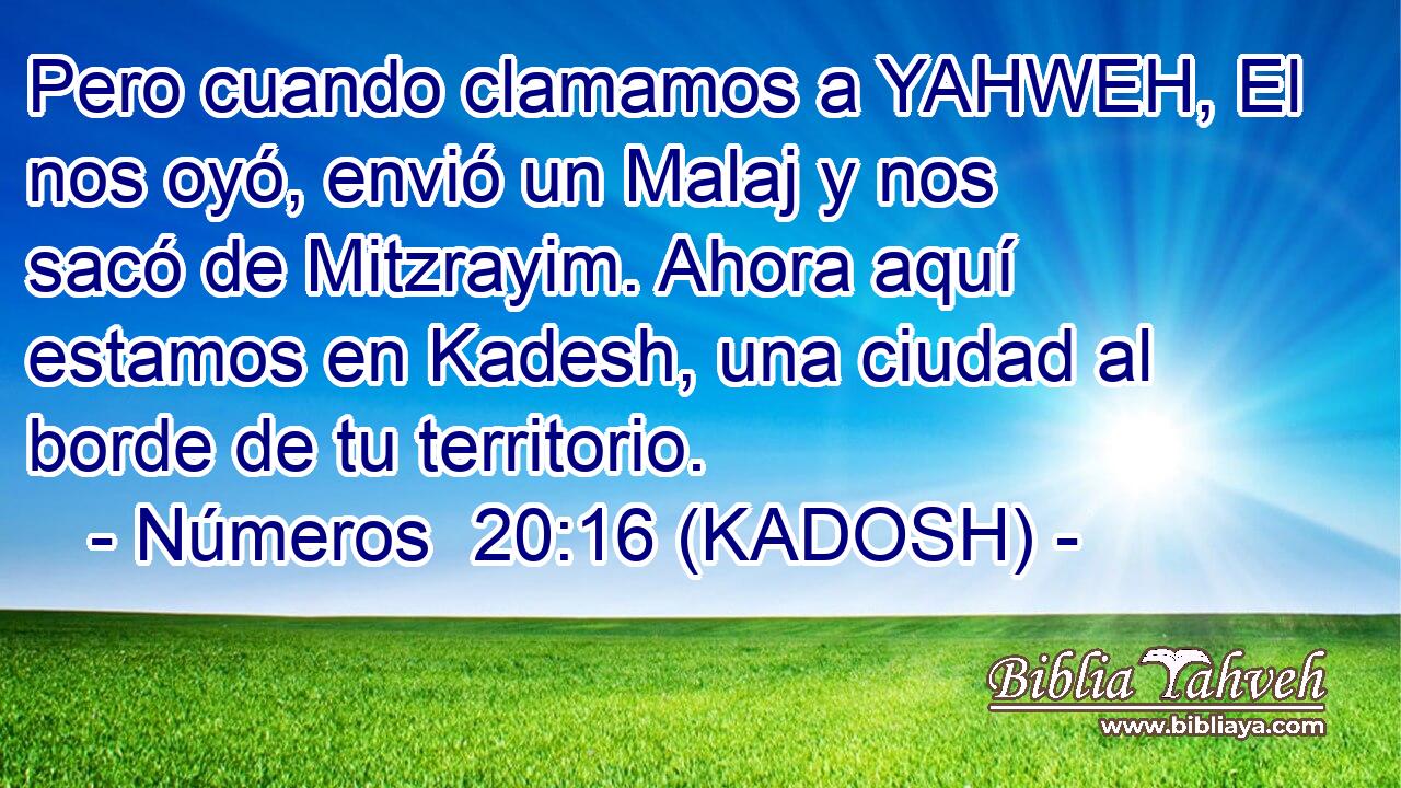  Pero cuando clamamos a YAHWEH, El nos oyó, envió un Malaj y nos sacó de Mitzrayim. Ahora aquí estamos en Kadesh, una ciudad al borde de tu territorio. 