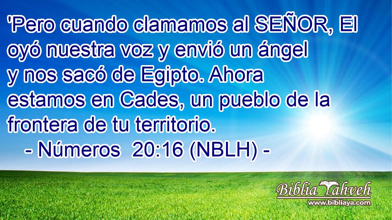  'Pero cuando clamamos al SEÑOR, El oyó nuestra voz y envió un ángel y nos sacó de Egipto. Ahora estamos en Cades, un pueblo de la frontera de tu territorio. 