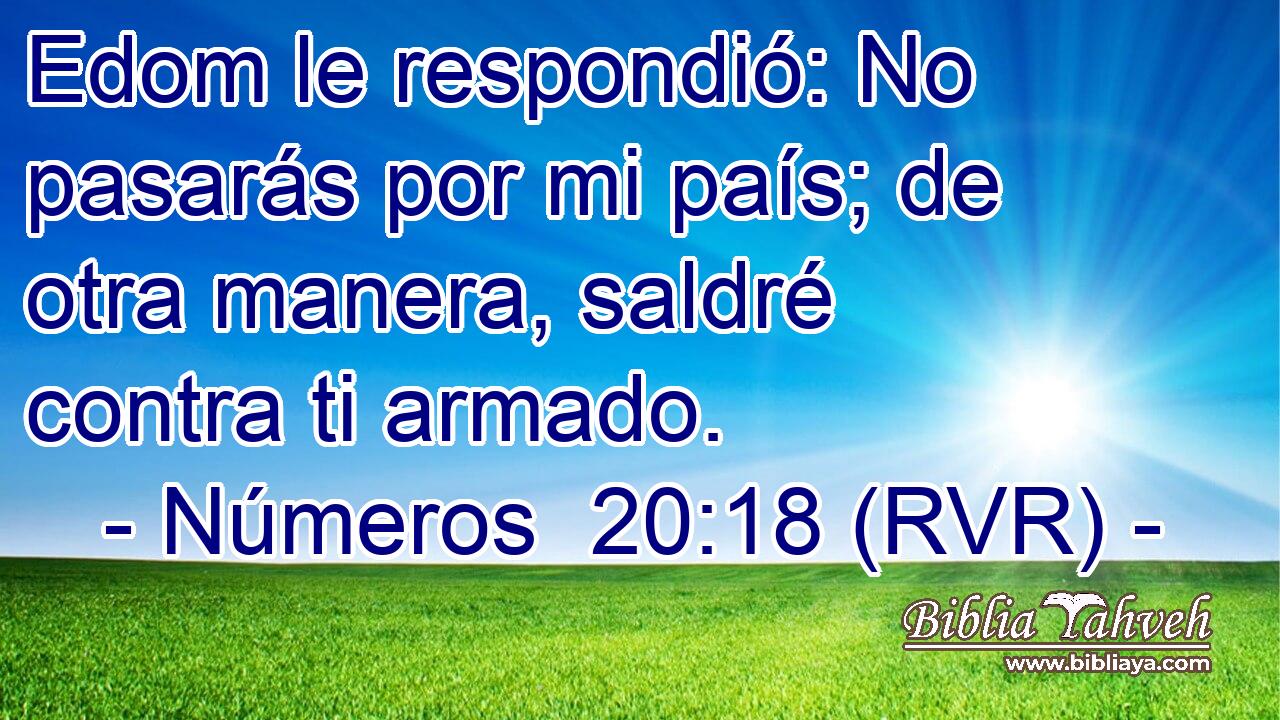 Edom le respondió: No pasarás por mi país; de otra manera, saldré contra ti armado.