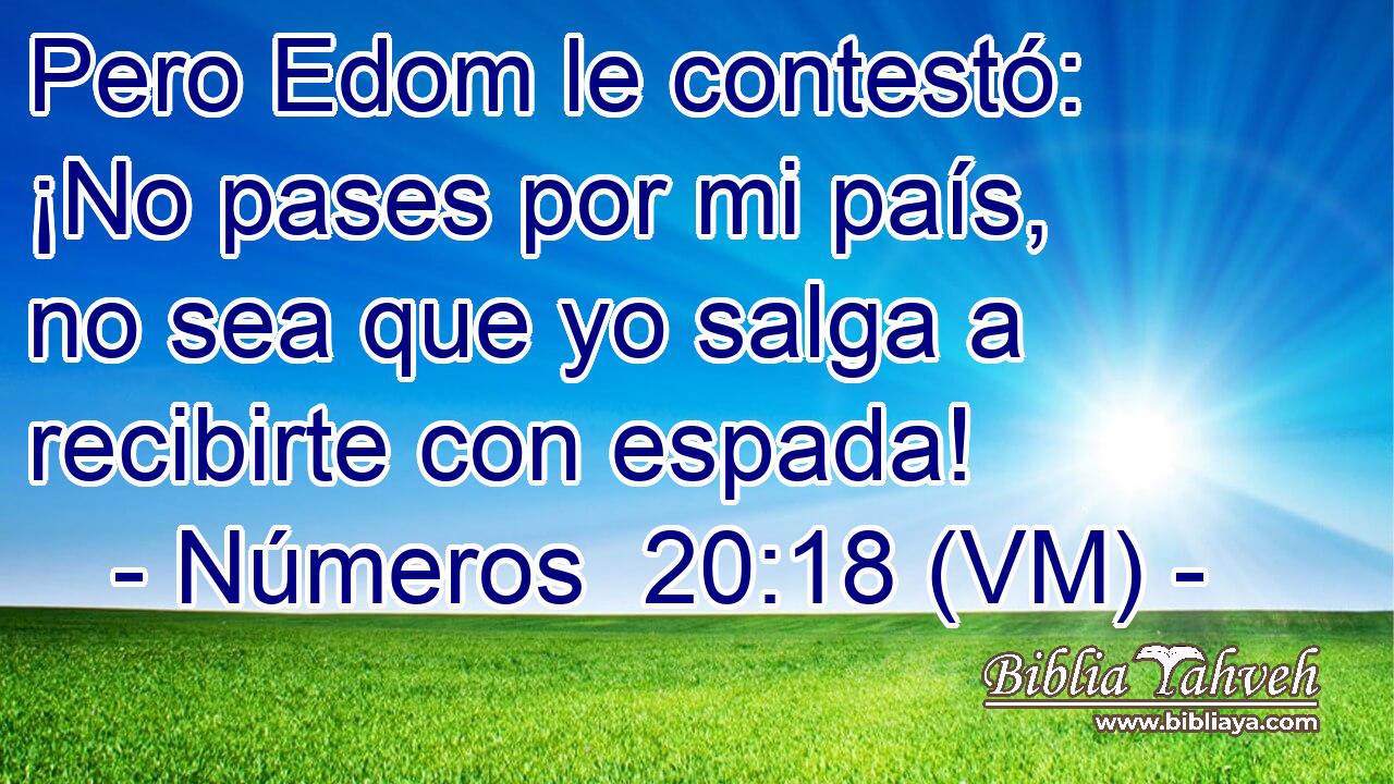  Pero Edom le contestó: ¡No pases por mi país, no sea que yo salga a recibirte con espada! 