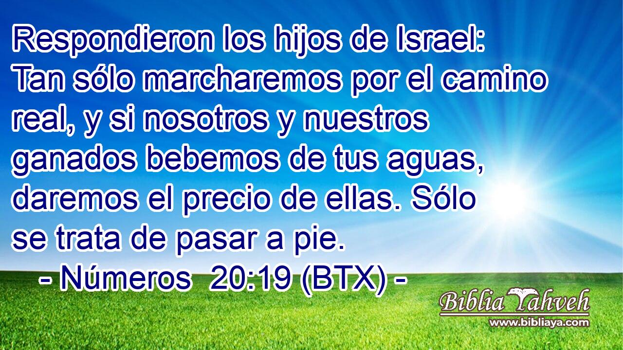 Respondieron los hijos de Israel: Tan sólo marcharemos por el camino real, y si nosotros y nuestros ganados bebemos de tus aguas, daremos el precio de ellas. Sólo se trata de pasar a pie.