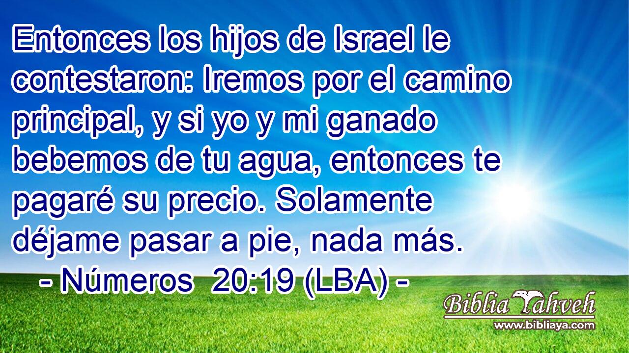 Entonces los hijos de Israel le contestaron: Iremos por el camino principal, y si yo y mi ganado bebemos de tu agua, entonces te pagaré su precio. Solamente déjame pasar a pie, nada más.