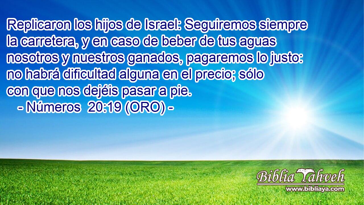  Replicaron los hijos de Israel: Seguiremos siempre la carretera, y en caso de beber de tus aguas nosotros y nuestros ganados, pagaremos lo justo: no habrá dificultad alguna en el precio; sólo con que nos dejéis pasar a pie. 