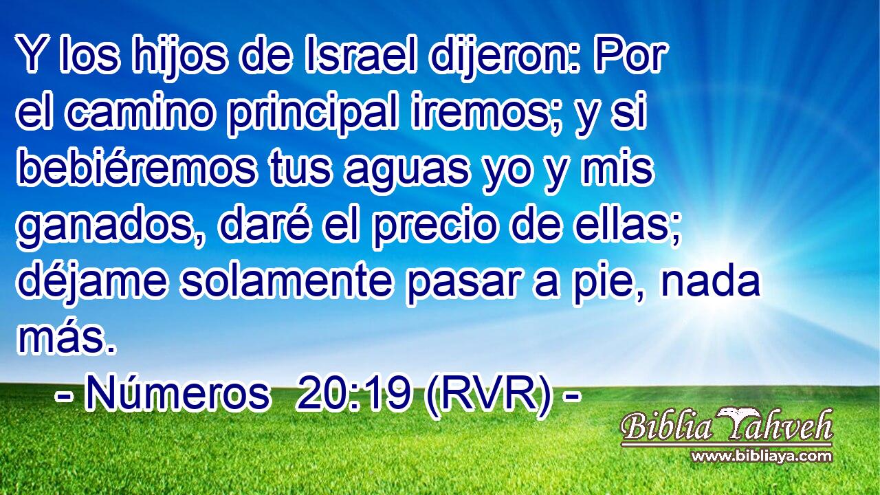 Y los hijos de Israel dijeron: Por el camino principal iremos; y si bebiéremos tus aguas yo y mis ganados, daré el precio de ellas; déjame solamente pasar a pie, nada más.