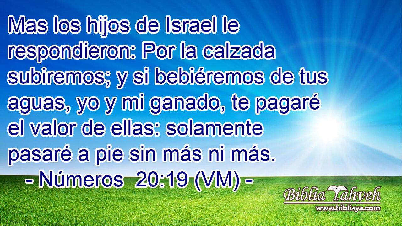  Mas los hijos de Israel le respondieron: Por la calzada subiremos; y si bebiéremos de tus aguas, yo y mi ganado, te pagaré el valor de ellas: solamente pasaré a pie sin más ni más. 