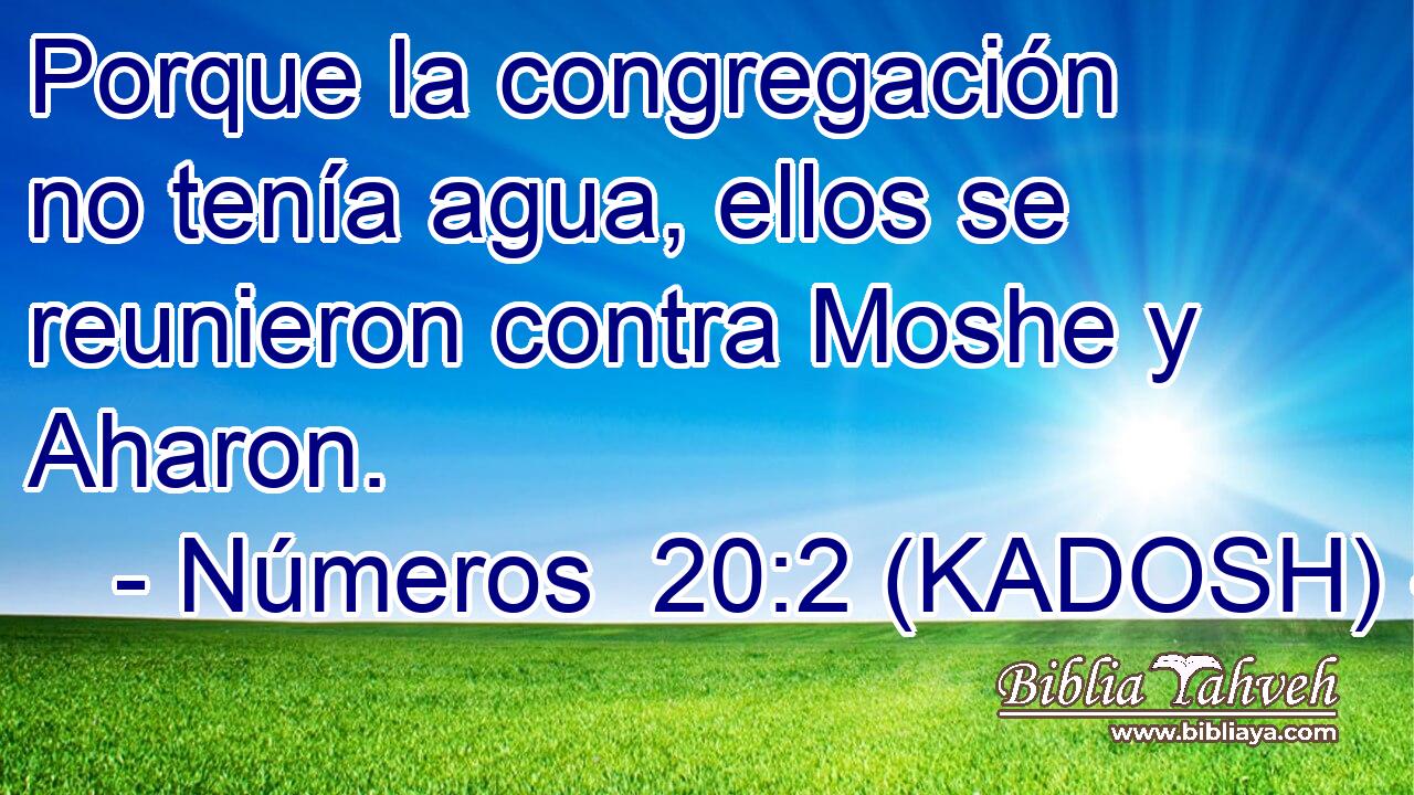  Porque la congregación no tenía agua, ellos se reunieron contra Moshe y Aharon. 